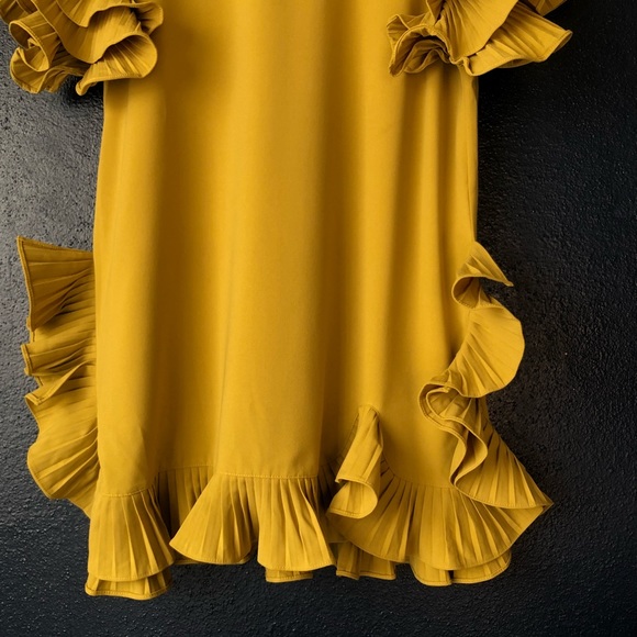GRACIA DRESS WITH RUFFLES - Picture 4 of 5